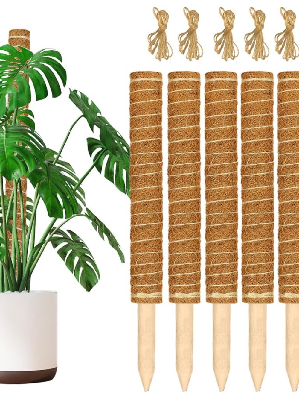 Moss Pole for Plants Monstera,【6 Pack】 17 inch Plant Support Pole, Extendable Co